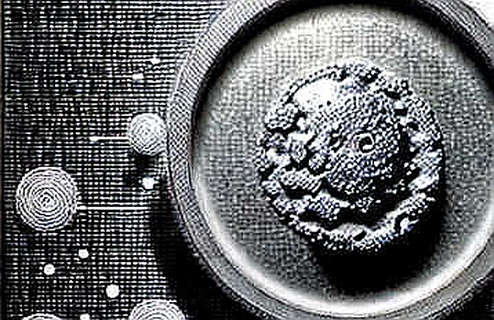 Paradigm’s $1.2B Fund: Capital Injection or Hype Accelerant? Paradigm’s $1.2B Fund: Capital Injection or Hype Accelerant?